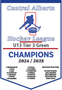 Load image into Gallery viewer, Custom Provincial / State Mini Champions Banners
