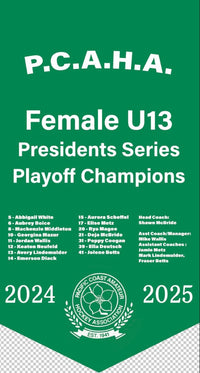Load image into Gallery viewer, Custom Provincial / State Mini Champions Banners
