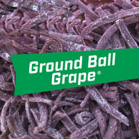 Load image into Gallery viewer, Big League Chew Ground Ball Grape
