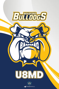 Load image into Gallery viewer, Bradford Bulldogs Dressing Room Door Flag
