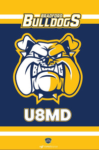 Load image into Gallery viewer, Bradford Bulldogs Dressing Room Door Flag
