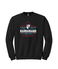 Load image into Gallery viewer, Aurora Barbarians Cotton Crew - Black
