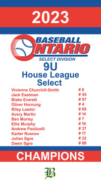 Load image into Gallery viewer, Custom Provincial / State Mini Champions Banners

