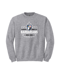 Load image into Gallery viewer, Aurora Barbarians Cotton Crew - Sport Grey
