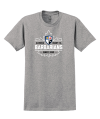 Load image into Gallery viewer, Aurora Barbarians Cotton T-shirt - Sport Grey
