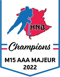 Load image into Gallery viewer, Custom Provincial / State Mini Champions Banners
