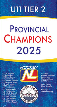 Load image into Gallery viewer, Custom Provincial / State Mini Champions Banners
