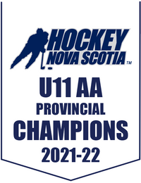 Load image into Gallery viewer, Custom Provincial / State Mini Champions Banners
