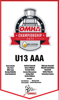 Load image into Gallery viewer, Custom Provincial / State Mini Champions Banners
