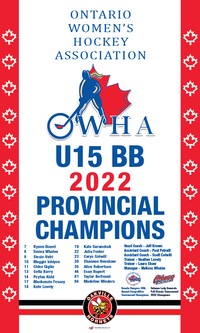Load image into Gallery viewer, Custom Provincial / State Mini Champions Banners
