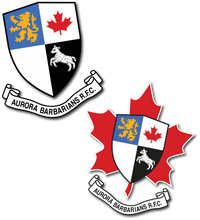 Load image into Gallery viewer, Aurora Barbarians Window Decals
