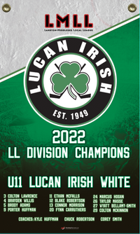 Load image into Gallery viewer, Custom Provincial / State Mini Champions Banners
