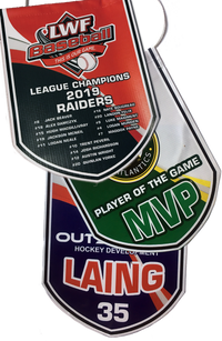 Load image into Gallery viewer, Mini Customized Player and Team Banners
