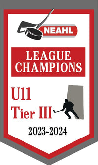 Load image into Gallery viewer, Custom Provincial / State Mini Champions Banners
