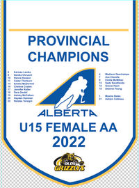 Load image into Gallery viewer, Custom Provincial / State Mini Champions Banners
