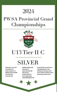 Load image into Gallery viewer, Custom Provincial / State Mini Champions Banners

