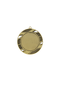 Load image into Gallery viewer, Medal 50mm Insert Solar, Gold
