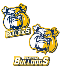 Load image into Gallery viewer, Bulldogs Window Decals
