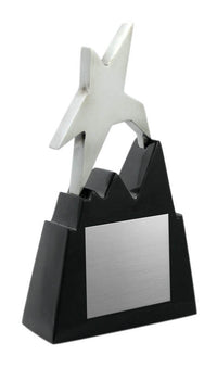 Load image into Gallery viewer, Star Resin, Silver/Black 6"
