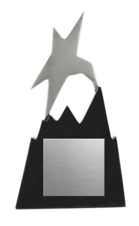 Load image into Gallery viewer, Star Resin, Silver/Black 6"
