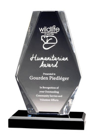 Load image into Gallery viewer, Clear Acrylic Jewel on Black Base, Top &amp; Base 7.75&quot;
