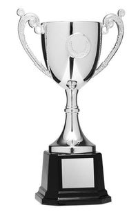Load image into Gallery viewer, Silver Cup Kit 7"
