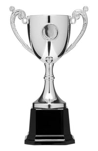 Load image into Gallery viewer, Silver Cup Kit 6"

