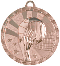 Load image into Gallery viewer, Volleyball Brite, Bronze
