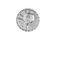 Load image into Gallery viewer, Volleyball Brite, Silver
