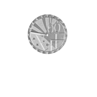 Load image into Gallery viewer, Gymnastics Brite, Silver
