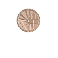 Load image into Gallery viewer, Gymnastics Brite, Bronze
