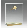 Glass Plaque w/Gold Star 6"
