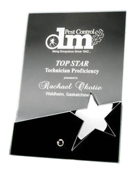 Load image into Gallery viewer, Glass Plaque on Pin w Star, Black Base 4" x 6"

