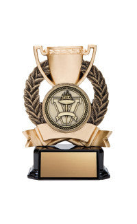 Medallion Award with Insert, Large 6"