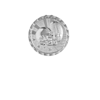 Load image into Gallery viewer, Football Brite, Silver
