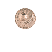 Load image into Gallery viewer, Soccer Brite, Bronze
