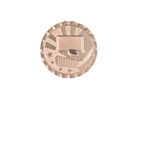 Load image into Gallery viewer, Hockey Brite, Bronze

